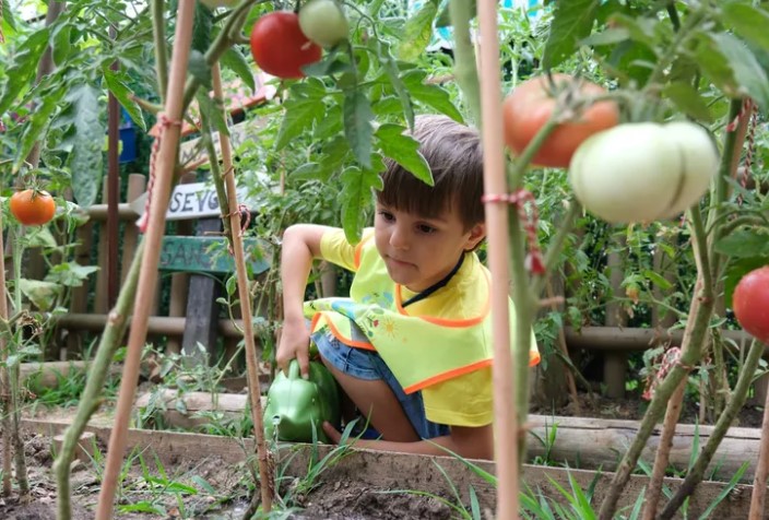 Kocaeli Lokomotif Çocuk Köyü’nde Bereketli Hasat Sevinci
