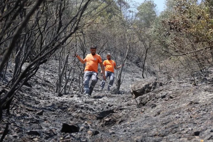 Sakarya Büyükşehir, Sokak Hayvanları İçin Harekete Geçti